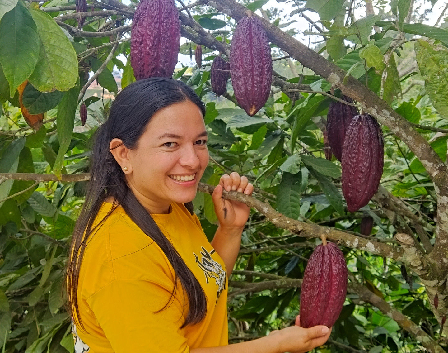 Diversificacioon-del-cultivo-o-actividad-productiva