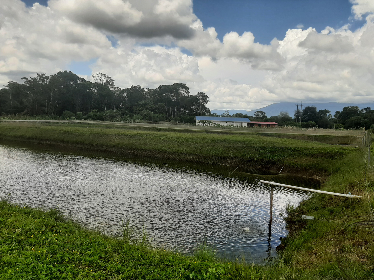 Piscinas-peces-en-Putumayo