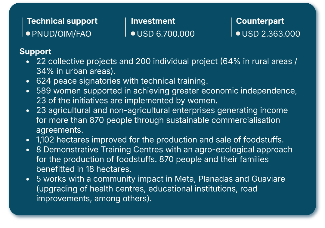 Reintegration in production settings and socioeconomic integration-Support